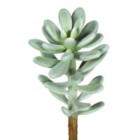 Vickerman 12" Artificial Frosted Green Succulent Pick (3 pack)