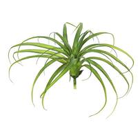 Vickerman 14" Artificial Frosted Green Grass Stem (3 pack)