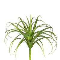 View 8" Artificial Frosted Green Grass Stem (3 pack)