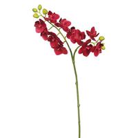 Vickerman 19" Artificial Magenta Phalaenopsis Orchid Spray