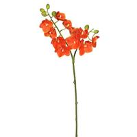 Vickerman 19" Artificial Orange Phalaenopsis Orchid Spray
