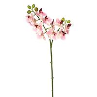 Vickerman 19" Artificial Pink Phalaenopsis Orchid Spray