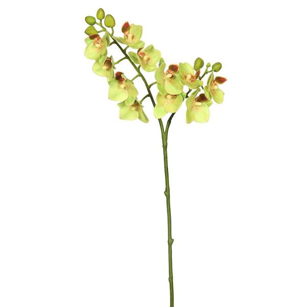19" Artificial Green Phalaenopsis Orchid Spray