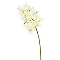 Vickerman 29" Artificial Cream Cymbidium Orchid
