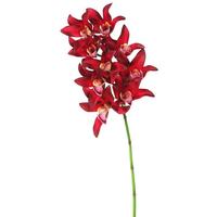 Vickerman 29" Artificial Magenta Cymbidium Orchid