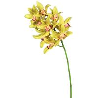 Vickerman 29" Artificial Green Cymbidium Orchid