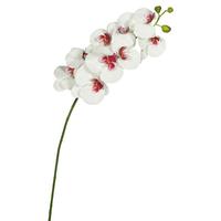 Vickerman 43" Artificial White Phalaenopsis Orchid