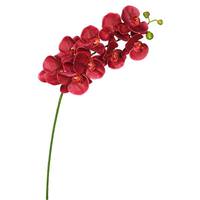 Vickerman 43" Artificial Magenta Phalaenopsis Orchid