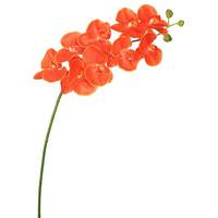 Vickerman 43" Artificial Orange Phalaenopsis Orchid