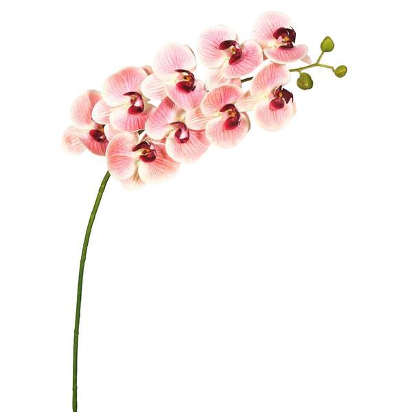 43" Artificial Pink Phalaenopsis Orchid