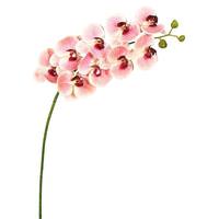 Vickerman 43" Artificial Pink Phalaenopsis Orchid