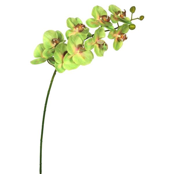 43" Artificial Green Phalaenopsis Orchid