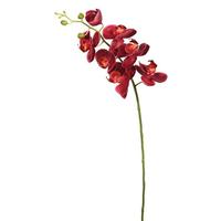 Vickerman 35" Magenta Phalaenopsis Orchid Stem