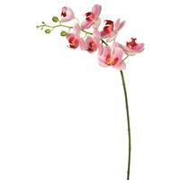 Home / Office Flowers with Stems