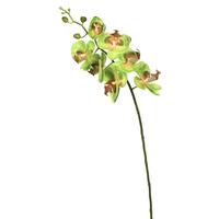 Vickerman 35" ArtificialPhalaenopsis Orchid Stem