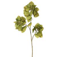 Vickerman 36" Artificial Autumn Green Leaves Spray