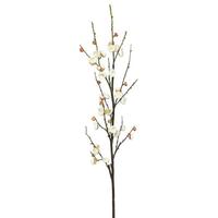 Vickerman 47" Artificial Cream Plum Blossom