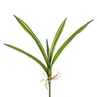 Vickerman 27" Artificial Real Touch Yucca Leaves (3 pack)