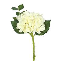 View 15" Artificial Cream Hydrangea (3 Pack)
