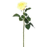 Vickerman 26" Artificial Yellow Real Touch Rose Stem (3 pack)