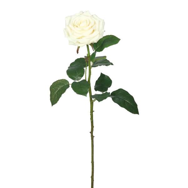 26" Artificial Cream Real Touch Rose Stem (3 pack)