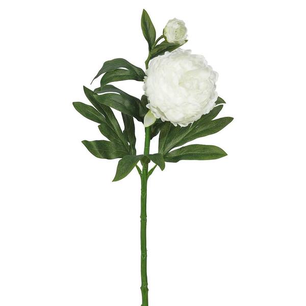 24" Artificial Cream Peony Stem (3 Pack)