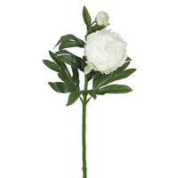 Vickerman 24" Artificial Cream Peony Stem (3 Pack)