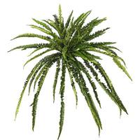 Vickerman 27" Artificial Green Boston Fern Spray