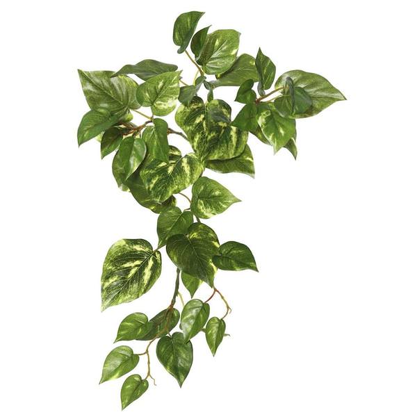 18" Artificial Green Hanging Pothos Spray