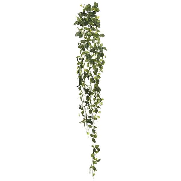 65" Artificial Green Fittonia Hanging Spray