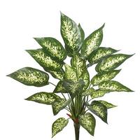 Vickerman 22" Artificial Dieffenbachia Exotica Spray