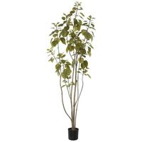 Vickerman 5' Artificial Potted Cotinus Coggygria Tree