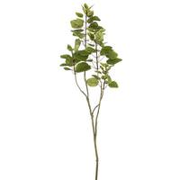 Vickerman 48" Artificial Green Cotinus Coggygria Tree