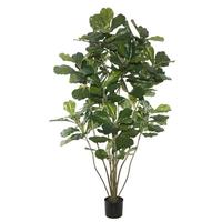 Vickerman 72" Artificial Fiddle Tree in Black Planter Pot