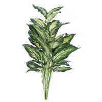 Vickerman 36" Artificial Marble Dieffenbachia Plant