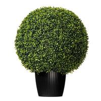 Vickerman 24" Artificial Boxwood Ball Topiary Potted in a Black Planters Pot