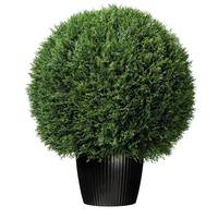 Vickerman 24" Artificial Cedar Ball Topiary Potted in a Black Planters Pot