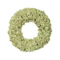 Vickerman 17.5" Artificial Reindeer Moss Wreath