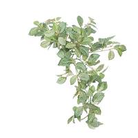 Vickerman 24" Artificial Fittonia Hanging Bush Spray
