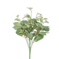View 17" Artificial Green Fittonia Bush