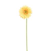 Vickerman 24" Artificial Yellow Gerbera Daisy (6 pack)