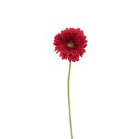 Vickerman 24" Artificial Red Gerbera Daisy (6 pack)