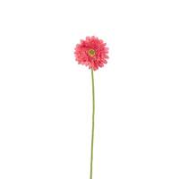 Vickerman 24" Artificial Coral Gerbera Daisy (6 pack)
