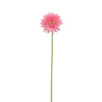 Vickerman 24" Artificial Pink Gerbera Daisy (6 pack)