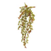 Vickerman 34" Artificial Green/Red Shell Leaf Hanging Spray