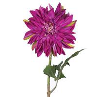 Vickerman 28" Artificial Purple Dahlia Stem