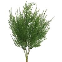 View 19.5" Artificial Asparagus Spray