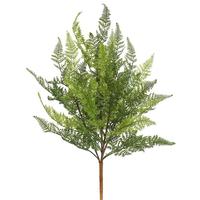Vickerman 21.5" Artificial Green Lace Fern Spray