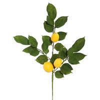 Vickerman 20" Artificial Salal Leaf/Lemon Spray