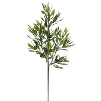Vickerman 26" Artificial Green Olive Leaf Spray